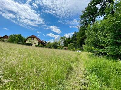 Grundstück kaufen in 8044 Niederschöckl