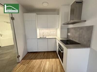 Terrassenwohnung mieten in 1230 Wien (Bild 3)