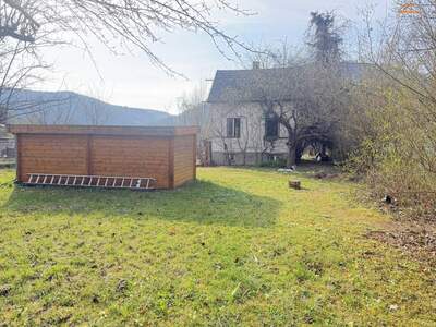 Grundstück kaufen in 2823 Pitten