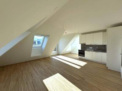 Anlageobjekt kaufen in 1220 Wien