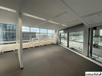 Gewerbeobjekt mieten in 1220 Wien (Bild 5)