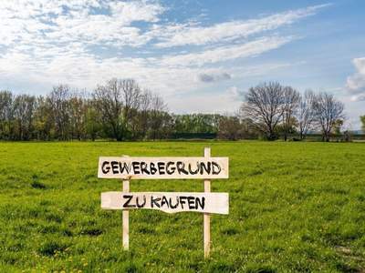 Grundstück kaufen in 2721 Bad Fischau