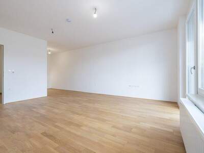 Terrassenwohnung mieten in 2700 Wr. Neustadt (Bild 5)