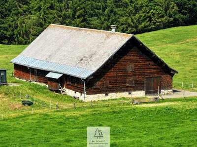 Haus kaufen in 6852 Sibratsgfäll (Bild 2)