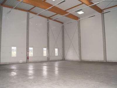 Gewerbeobjekt kaufen in 4600 Wels (Bild 1)