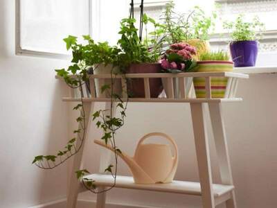 Altbauwohnung mieten in 8010 Graz (Bild 5)