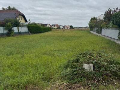 Grundstück kaufen in 2100 Korneuburg