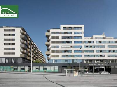 Terrassenwohnung kaufen in 1030 Wien (Bild 5)