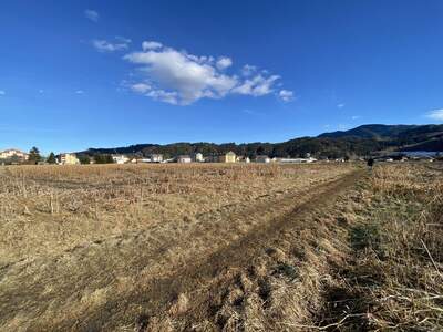 Grundstück kaufen in 8720 Apfelberg (Bild 1)