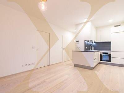 Terrassenwohnung mieten in 4040 Linz (Bild 1)