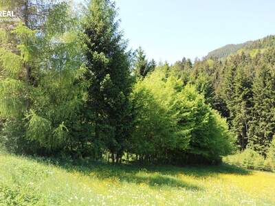 Grundstück kaufen in 3340 Waidhofen