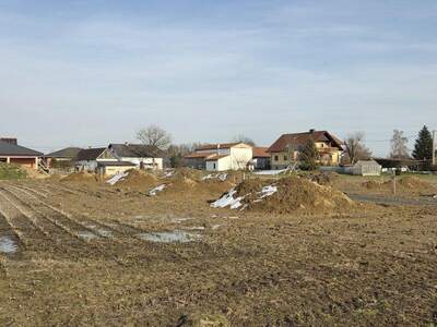 Grundstück kaufen in 8483 Deutsch Goritz (Bild 3)