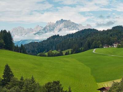 Grundstück kaufen in 6391 Fieberbrunn (Bild 5)