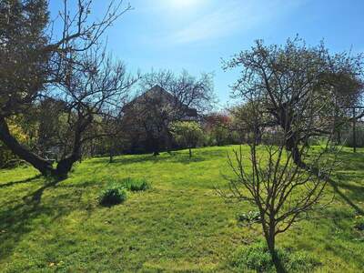 Grundstück kaufen in 1220 Wien