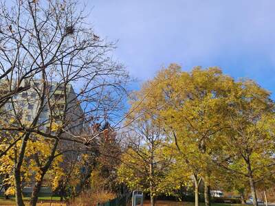 Terrassenwohnung kaufen in 1210 Wien (Bild 1)