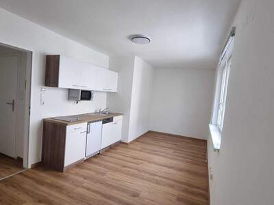 Anlageobjekt kaufen in 1130 Wien (Bild 1)