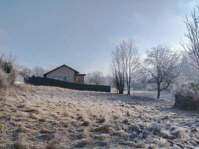 Grundstück kaufen in 4073 Wilhering (Bild 5)