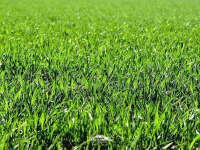 Grundstück kaufen in 4840 Vöcklabruck