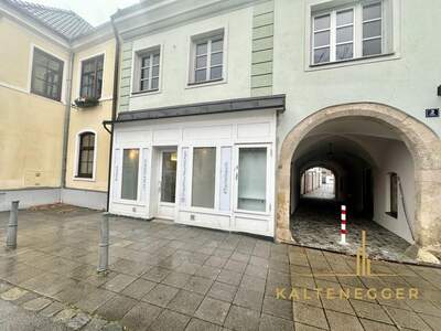 Gewerbeobjekt mieten in 2620 Neunkirchen (Bild 2)