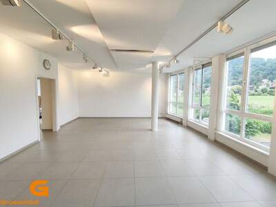 Gewerbeobjekt mieten in 5026 Salzburg (Bild 2)