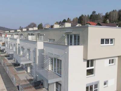 Terrassenwohnung mieten in 2123 Unterolberndorf (Bild 4)