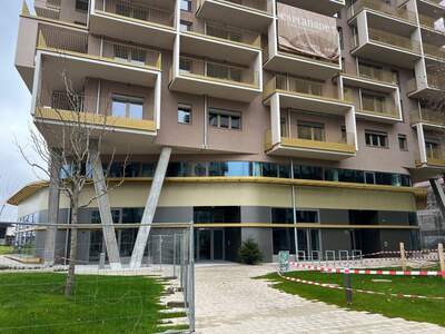 Gewerbeobjekt mieten in 8020 Graz (Bild 2)