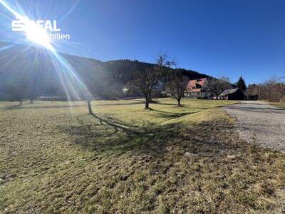 Grundstück kaufen in 9361 St. Salvator (Bild 5)