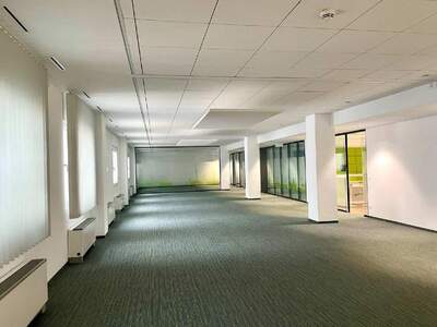 Gewerbeobjekt mieten in 1020 Wien (Bild 3)