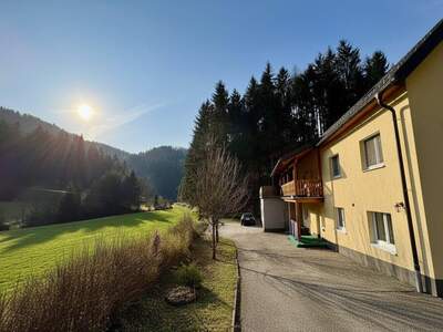 Haus kaufen in 4382 Waldhausen