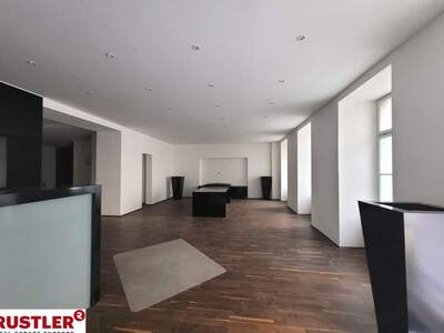 Gewerbeobjekt mieten in 1060 Wien (Bild 2)