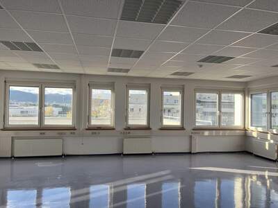 Gewerbeobjekt mieten in 2351 Wiener Neudorf (Bild 5)