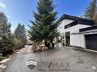 Einfamilienhaus kaufen in 2632 Grafenbach (Bild 5)