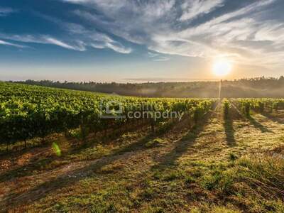 Gewerbeobjekt kaufen in 1100 Wien
