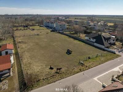 Grundstück kaufen in 7122 Gols