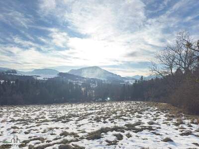 Grundstück kaufen in 3282 St. Georgen