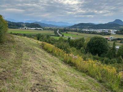 Gewerbeobjekt kaufen in 9300 St. Veit