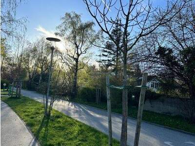 Grundstück kaufen in 4600 Wels (Bild 4)