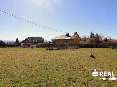 Grundstück kaufen in 4501 Neuhofen (Bild 4)