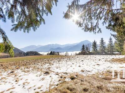 Grundstück kaufen in 9161 Göltschach (Bild 1)