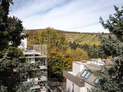 Anlageobjekt kaufen in 1190 Wien