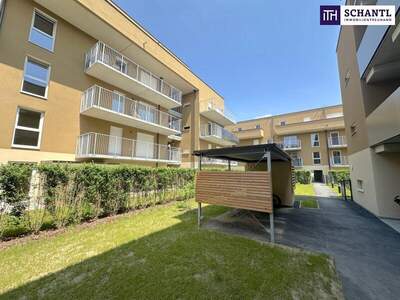 Mehrfamilienhaus kaufen in 8401 Kalsdorf (Bild 2)