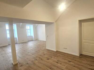 Gewerbeobjekt mieten in 1090 Wien (Bild 4)