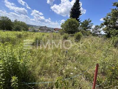 Grundstück kaufen in 4311 Schwertberg (Bild 1)