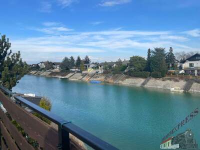 Einfamilienhaus kaufen in 2301 Groß (Bild 4)