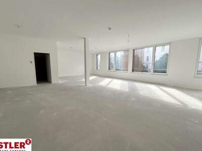 Gewerbeobjekt mieten in 2340 Mödling (Bild 4)