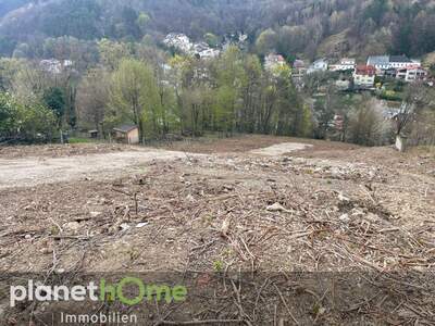 Grundstück kaufen in 2391 Kaltenleutgeben (Bild 1)