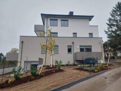 Wohnung mieten in 2134 Staatz