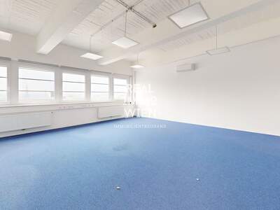 Gewerbeobjekt mieten in 2514 Traiskirchen (Bild 2)