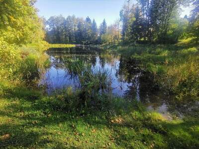 Grundstück kaufen in 3052 Innermanzing