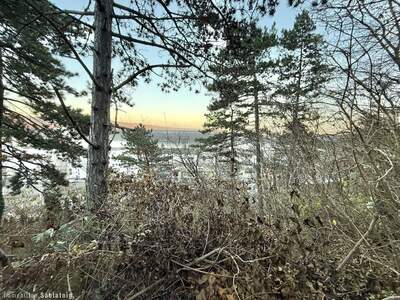 Grundstück kaufen in 1190 Wien